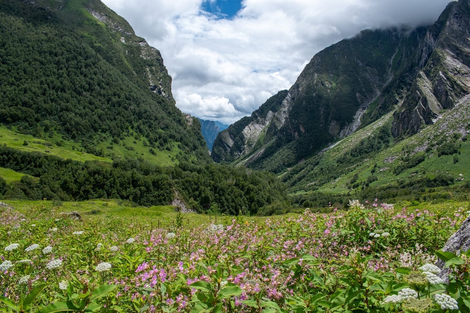 Valley of Flowers Trek Uttarakhand