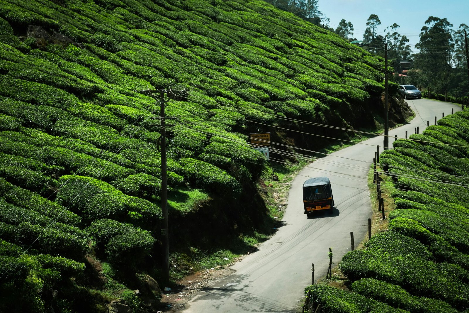 Munnar Kerala