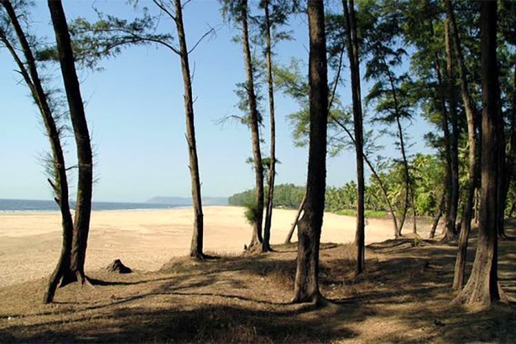 Guhagar Beach Maharashtra