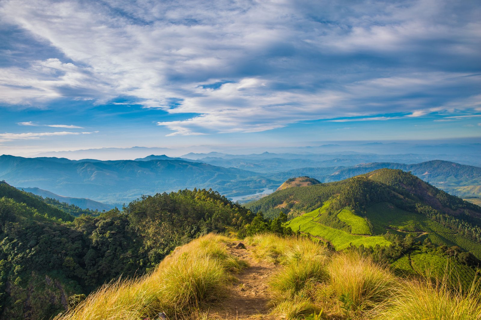 Kolukkumalai Tea Estate