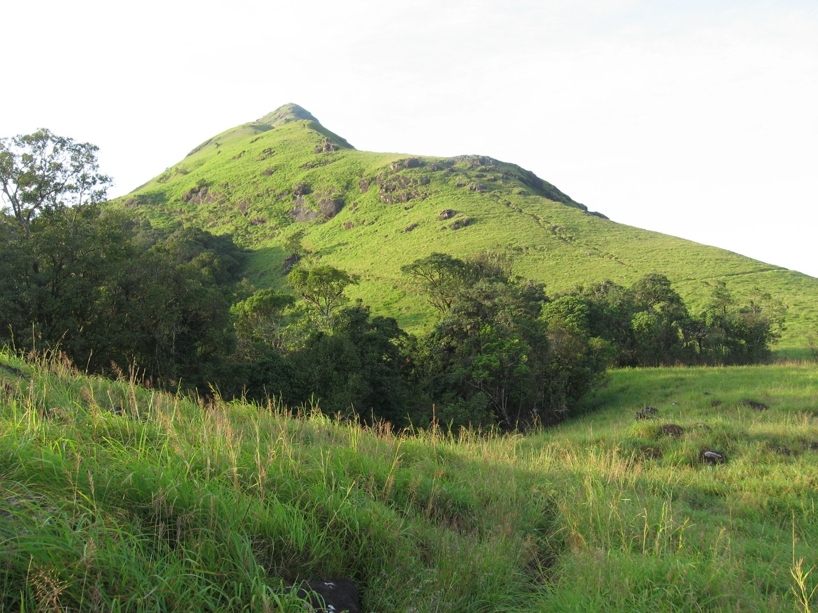 Chembra Peak Trek Wayanad