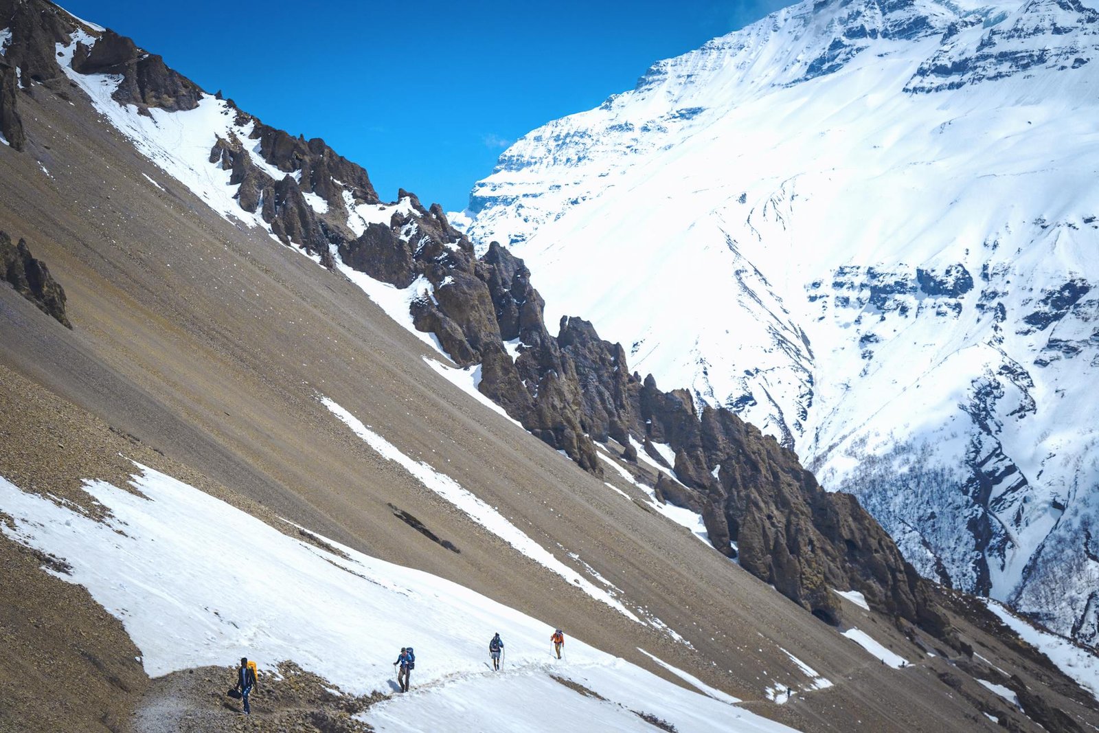 Kuari Pass Trek Uttarakhand