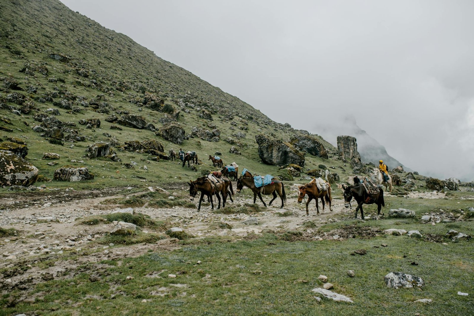 Sandakphu Trek West Bengal